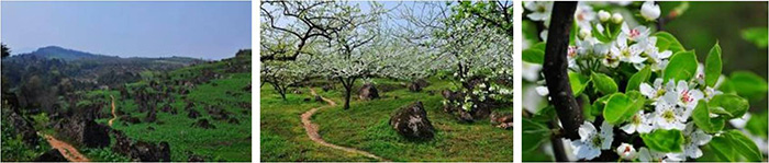 “春遊踏青季，團(tuán)建(jian)收心時“山(shān)美特2018春季團(tuán)建(jian)活動(dòng)及(ji)場(chang)地推薦9.jpg